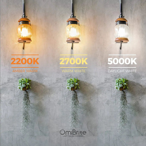 Three hanging lanterns with 2200K amber, 2700K warm white, and 5000K daylight bulbs illuminating plants against a gray wall.