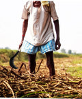 Farmer using heavy duty weeding blade hand hoe for gardening with long handle manganese steel scythe in field