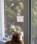 Pink ABS And POM Kid Proof Sliding Glass Door Lock For Cabinets And Cupboards Easy To Install on window beside curious cat