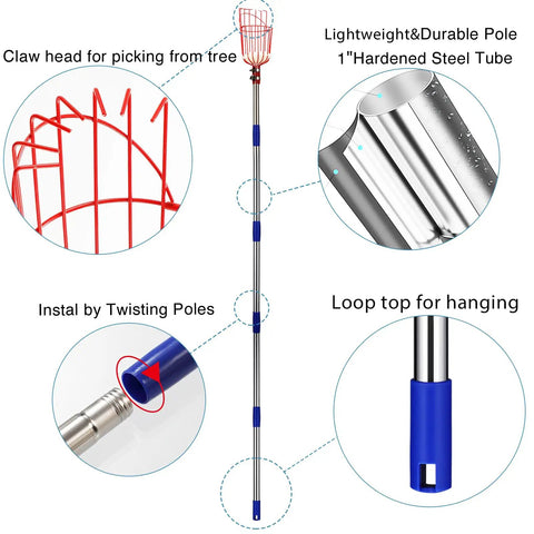 Image of Telescoping Fruit Picker Pole With Basket For Tree Harvesting Adjustable 35 To 95 Inch Reach Heavy Duty Aluminum Handle 9 By 5.5 By 5.5 Inch Basket Great For Apple Orange Pear Mango Avocado Lemon Pomelo featuring parts detail