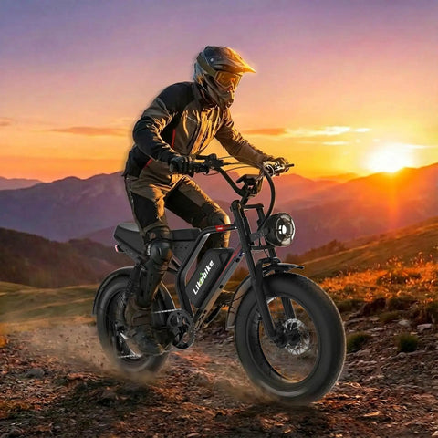 Rider on Beast 2000W Electric Fat Tire Bike For Adults With Top Speed 36 MPH 50 Mile Range, off-road at sunset