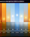Full spectrum light temperature chart from 1000 K to 20000 K, showcasing hues from warm to cool tones.