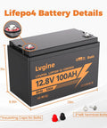 12V 100Ah LiFePO4 Battery with 100A BMS, 15000+ cycles, 1280Wh, with insulating caps and terminal bolts for marine use