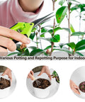 Mini Garden Tool Kit For Houseplants And Bonsai, 5Pcs Repotting Mats And Pruning Shears Set, Ultra Sharp Stainless Steel Scissors And Pruners