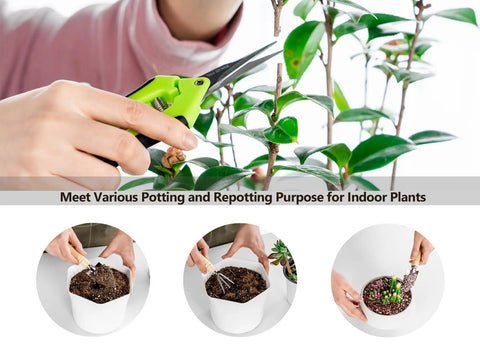 Mini Garden Tool Kit For Houseplants And Bonsai, 5Pcs Repotting Mats And Pruning Shears Set, Ultra Sharp Stainless Steel Scissors And Pruners