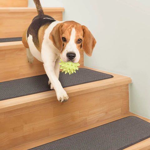 Dog on stairs with Skid Resistant Carpet Stair Treads Set Of 15 In Gray With Non Slip Rubber Backing 8 Inches By 23.5 Inches Easy Install