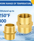 10 Pack Brass Pipe Fittings 1 Inch Male Adapter and 1 Inch Female Adapter NPT, corrosion resistant up to 250F