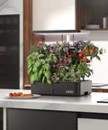 Indoor Hydroponics Growing System Kit With 12 Pods LED Grow Light Built In Fan Auto Timer Adjustable Height Up To 11.3 Inches Low Maintenance Easy Home Garden