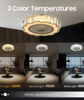 Ceiling Fan with Light 23 Inch Wireless Controller Low Noise for Bedroom showcasing three color temperatures: warm, neutral, and white.