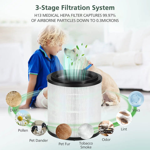 True HEPA Replacement Filter for Large Room Air Purifier with Activated Carbon Fits 5 Speed SilverOnyx KJ150F C02 infographic