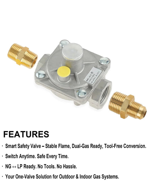 1/2-in gas pressure regulator with dual brass 1/2-in NPT adapters; aluminum body for natural gas and LPG.