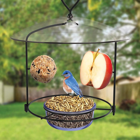Bluebird Buffet Metal Bird Feeder With Protective Baffle For Outdoor Decor Glass Dish Holds Three Quarters Cup Capacity Easy To Refill And Clean Attracts Multiple Bluebirds, featuring a bluebird, seeds, and apple slice in a garden setting.