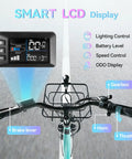Dope City Cruiser Electric Bike With 24 Inch Wheel Peak 1000W Motor handlebar with LCD display and control features