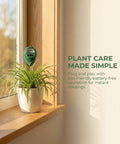 Moisture Meter For Plants No Batteries Needed Garden Water Monitor With Hygrometer Dial For Indoor And Outdoor Gardening Tools For Plant Fam To Prevent Overwatering And Underwatering And Promote Healthier Growth. Green plant moisture meter in white pot on windowsill