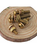 Premium Brass Screw Nut Kit Featuring Pan Head Phillips Fasteners With Washers For Metalworking Projects In M3 To M6 Sizes on wooden base.