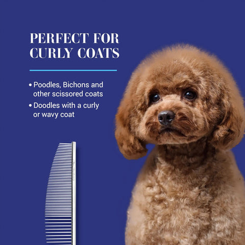 Crescent Butter Comb Finishing Tool for Precision Detailing, 6.5 Inch, next to groomed curly-coated dog, blue background.