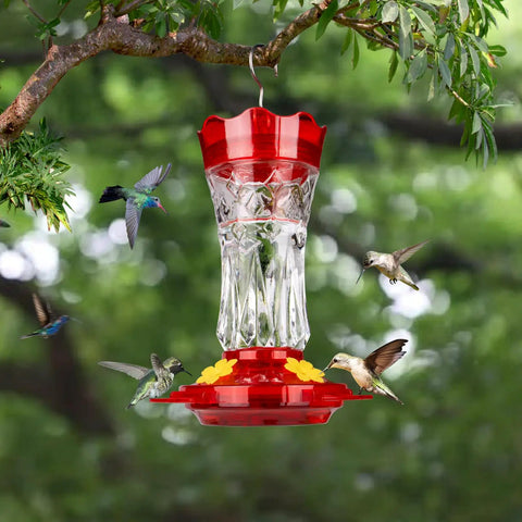 Glass Hummingbird Feeder Outdoor Hanging With Built In Ant Moat And Four Bee Guard Perches Leak Proof 15 Ounce Capacity Stars Decor In Red Theme Ideal Gift For Women Men Moms Dads Who Love Backyard Bird Watching