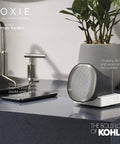 2.5 GPM Showerhead With Bluetooth Speaker And Harman Kardon Audio, charging dock on bathroom counter