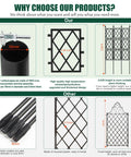 Comparison chart of Tall 5.25 Ft Garden Trellis Iron Pipe Metal Plant Support For Climbing Ivy Vines And Roses features and benefits.