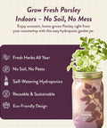 Dope Mason Garden Jar Self Watering Hydroponics Kit With Organic Herb Seeds For Indoor Parsley Garden Jar Planter