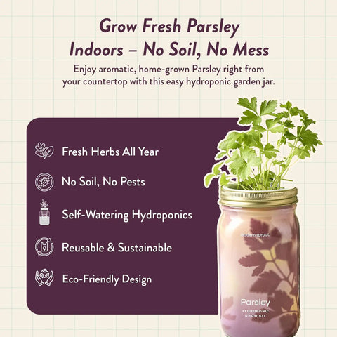 Dope Mason Garden Jar Self Watering Hydroponics Kit With Organic Herb Seeds For Indoor Parsley Garden Jar Planter