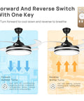 42 Inch Retractable Ceiling Fan With Lights And Remote For Home Use In Bedroom Living Room And Dining Area, focus on forward and reverse switch options displayed.