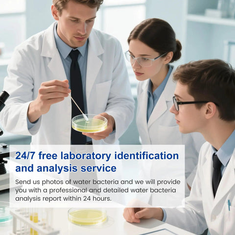 Scientists analyzing samples for Drinking Water Bacteria Test Kit With 12 Tests Detecting Coliform And E Coli Plus All Bacteria