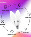 Candelabra LED Bulbs RGB Color Changing Smart Bulbs E12, 6W (60W Equivalent), 600LM, features and control methods displayed