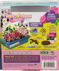 Flower Princess Palace Terrarium Starter Kit packaging with Jewelweed and Princess Flowers image and content list.
