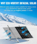 High Efficiency Bifacial Solar Panel Kit 2x100W Monocrystalline Off Grid PV Modules in snowy landscape