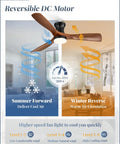 52 Inch Ceiling Fan With Lights Low Profile Flush Mount Remote Control And Timer Quiet 35dB 3CCT Reversible ABS Blade ceiling fan illustration showing summer and winter modes.