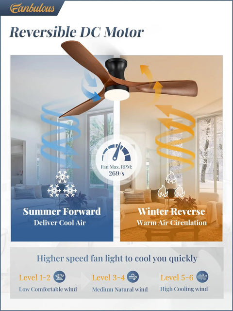 52 Inch Ceiling Fan With Lights Low Profile Flush Mount Remote Control And Timer Quiet 35dB 3CCT Reversible ABS Blade ceiling fan illustration showing summer and winter modes.