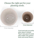 Top view of 3-inch and 5-inch peat pots with drainage holes for Awesome Biodegradable 3-Inch Peat Pots for Super Easy Organic Seed Starting