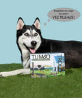 Dog with Xtreme Trolley Anti Shock Aerial Dog Runner With Heavy Duty Pulley System box on grass.