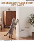 Bang For Your Buck Wall Corner Protector And Self Adhesive Clear Plastic Edge Guard Keep Your High Traffic Spots Tight With Solid Scratch Defense And Quick Peel Application 6 Pack protecting wall from cat scratches.