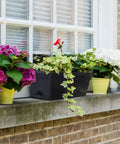 Window Box Planter Set 10 Pack 17 Inch Rectangular Plastic Flower Boxes With Trays For Outdoor And Indoor Plants Durable Black Garden And Home Decor Must Have With Breathable Root Design on a window sill