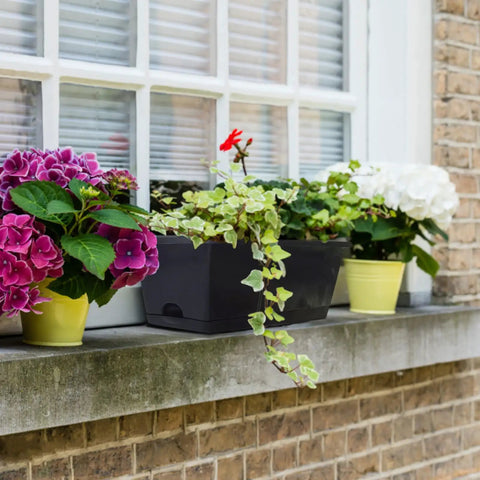 Window Box Planter Set 10 Pack 17 Inch Rectangular Plastic Flower Boxes With Trays For Outdoor And Indoor Plants Durable Black Garden And Home Decor Must Have With Breathable Root Design on a window sill