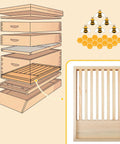 Diagram of hive with Two Pack 8 Frame Slatted Beehive Rack For Beekeepers, Wooden inset showing rack, 19.9x14x1.97 inches.