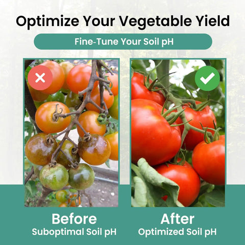 Comparison of tomatoes with suboptimal and optimized soil pH using Soil PH Test Strips Kit 3 To 9 Range With 100 Quick And Easy Peasy Tests.