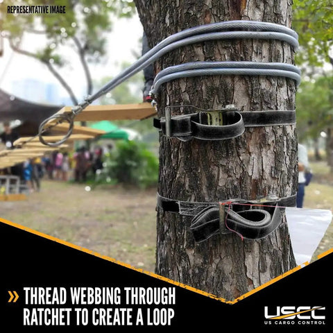 4 Pack Hookless Endless Loop Ratchet Straps 2 Inch By 10 Foot Heavy Duty Polyester Webbing looped around a tree for stabilization.
