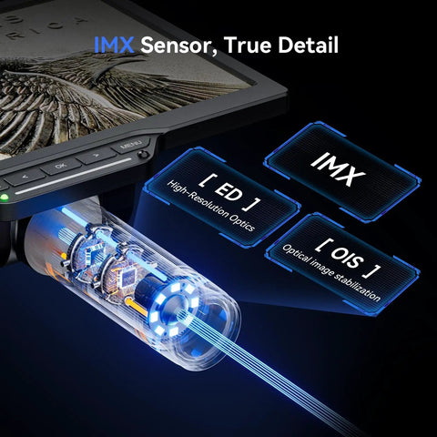 All In One 3K Digital Microscope With 10.1 Inch HDMI LCD Screen For Coins And Soldering, coin close-up on screen