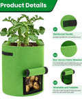 6 Pack 10 Gallon Potato Grow Bags With View Window, showcasing plant growth and features like reinforced handle and fabric material.