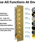 Thermostatic valve panel for 24 X 32 LED Dual Head Ceiling Mount Shower System With Thermostatic Valve Rock Solid 6 Body Jets.