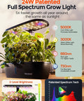 Smart Indoor Garden Kit with 24W Full Spectrum Grow Light 15 Pods Hydroponic System displaying herb growth.