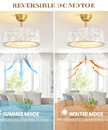 17.7Inch Shell Fandelier Ceiling Fan with Light showing summer and winter modes with air flow directions in a living room.