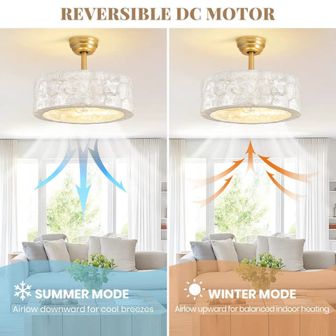17.7Inch Shell Fandelier Ceiling Fan with Light showing summer and winter modes with air flow directions in a living room.