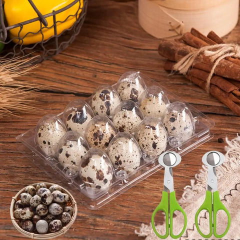 Quail Egg Storage Kit With 12 Grid Cartons And 2 Stainless Steel Cutters For Camping And Picnics, visible eggs in PVC tray and cutters.
