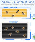 Newest Windows 8 Frame Beehive Kit hand painted honey and brood frames with bees visible in observation windows.
