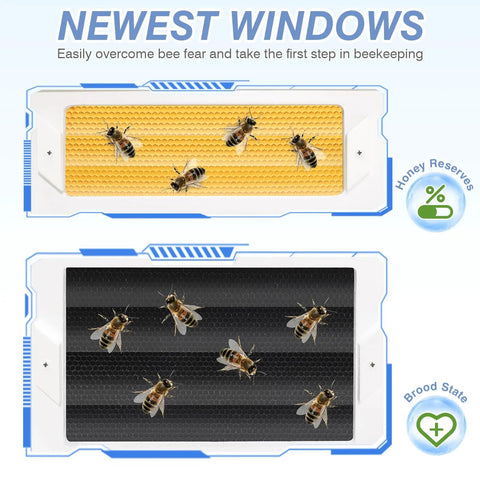 Newest Windows 8 Frame Beehive Kit hand painted honey and brood frames with bees visible in observation windows.