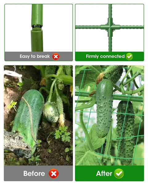 Before and after using Two Pack A Frame Cucumber Trellis Garden Trellis For Climbing Plants Outdoor Raised Bed Plant Grow Support